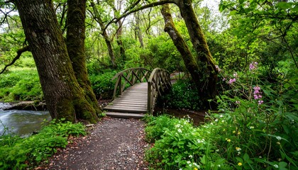 Obraz premium A wooden bridge crosses a stream in a lush green forest with pink flowers nature path
