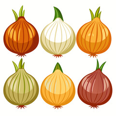 A colorful assortment of onions is displayed against a white background showcasing different varieties and hues perfect for culinary illustrations or educational materials about vegetables