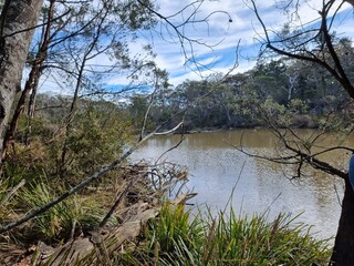 The Douglass Weir on the Wingecarribee River near Berrima New South Wales Australia. The weir is overflowing in a small cascade. The banks of the river lined with Australian gum trees.
