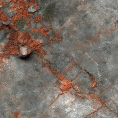 Gray stone surface with rusty, fragmented patches and intricate veins