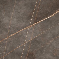 Dark gray stone tile with gold veins