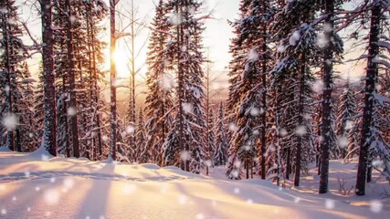A snowy forest scene with sunlight streaming through the trees and falling snowflakes gently falling - Powered by Adobe