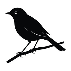 silhouette of a robin standing on a branch on white background.
