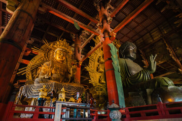 The view of sightseeing near temple in Nara, Japan