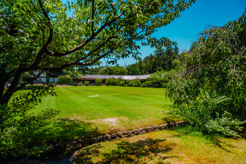 The view of sightseeing near temple in Nara, Japan