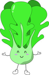 green cabbage on a white background