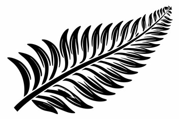 fern leaf isolated on white