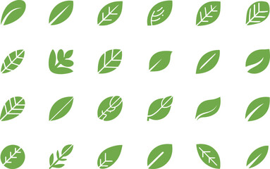 Green Leaves Collection, Isolated on White Background, Nature Botanical Flat Design