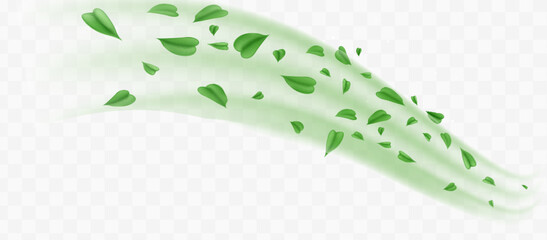 Green fresh air or wind effect set on transparent background. Glow swirl light. Green leaves fly. Realistic vector illustration