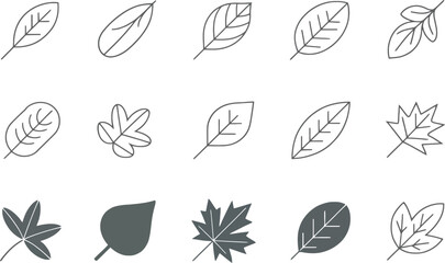 Leaf Line Art Set, Various Shapes, Transparent Background, Outline Designs