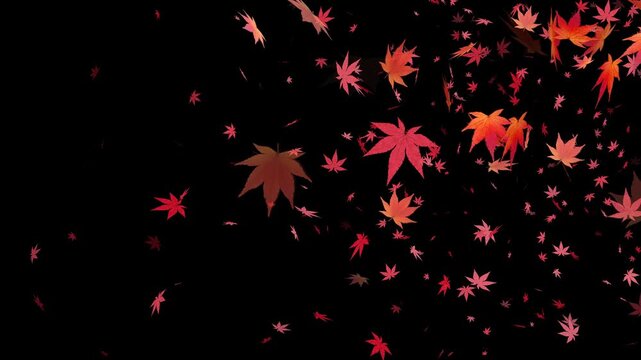 【透過素材】秋の紅葉：舞い落ちるもみじパーティクル：背景なし