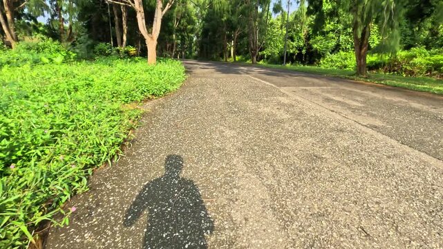 point of view of man shadow running or jogging with green trees on asphalt road in the morning