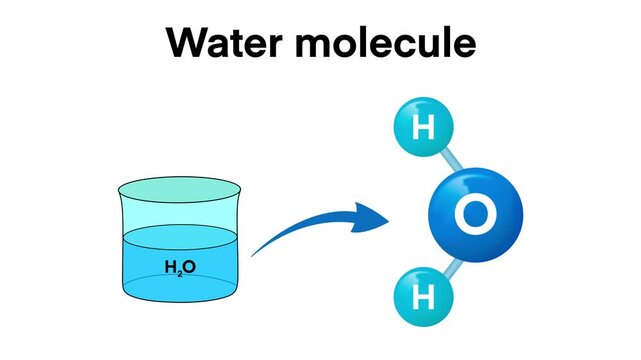 educational diagram shows the molecular structure of water. A beaker of H₂O is connected via arrow to a model of a water molecule made up of one oxygen atom bonded to two hydrogen atoms