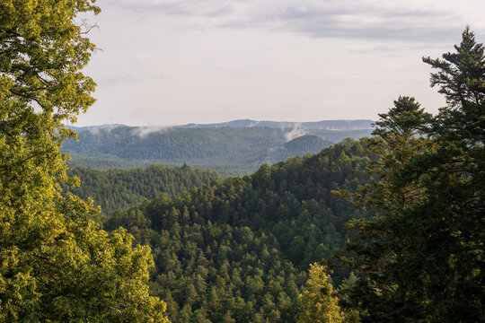 Ch&acirc;teau du Falkenstein in France