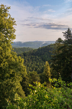 Ch&acirc;teau du Falkenstein in France