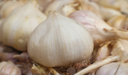 Close-up of fresh organic garlic bulbs with dry outer skin, ideal for culinary, medicinal, and...