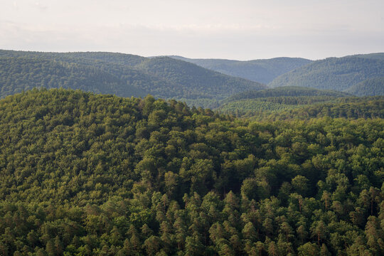 Ch&acirc;teau du Falkenstein in France