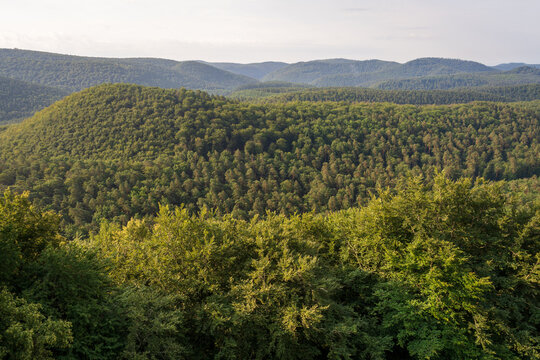 Ch&acirc;teau du Falkenstein in France
