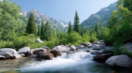 Crystal Clear Mountain River Flowing Through Lush Green Forest Under Bright Blue Sky and Serene Rocky Landscape