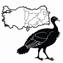 Turkey and Turkey Map Silhouette Design with Strong Cultural Connections