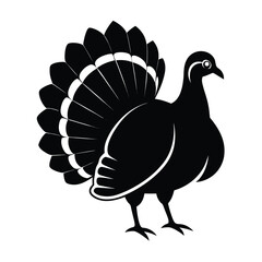 Striking Silhouette of a Proud Turkey Displaying its Feathers An Emblem of Thanksgiving and Festive Celebrations