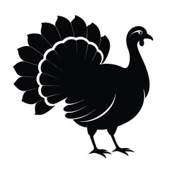 Stylized Silhouette of a Turkey with Full Plumage for Thanksgiving Holiday or Farm Animal Theme Designs