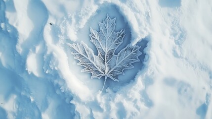 White maple leaf shaped imprint in snow