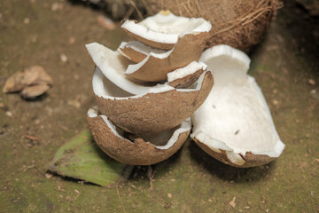 Coconut shell fragments stacked artistically outdoors