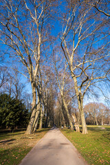 Obraz premium Morning Stroll Through Castle Garden in Stuttgart, Germany