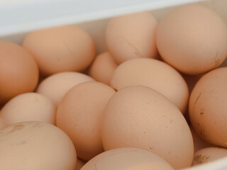 chicken eggs in the fridge