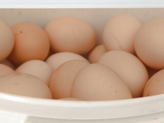 chicken eggs in the fridge