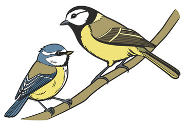 Colorful Bird Illustration Depicting a Pair of Birds Perched on a Branch, Emphasizing Vibrant Plumage
