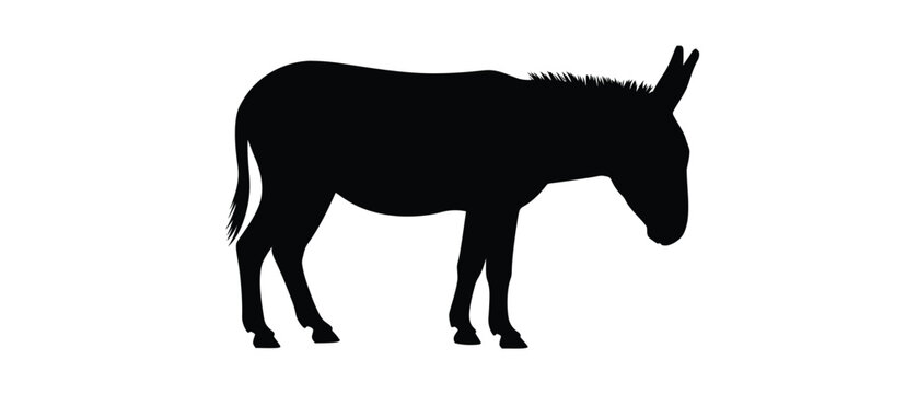 Black silhouette of a donkey standing on a white background