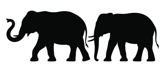 Two african elephants walking side by side in silhouette