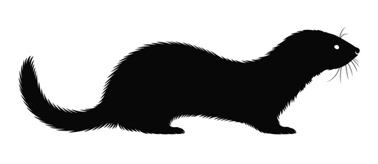 Silhouette of a fluffy ferret standing on a white background