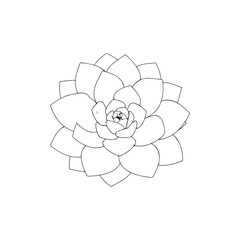 a black and white line drawing of a succulent or flowering plant with intricate, overlapping petals or leaves. The overall shape resembles a rosette or spiral pattern, creating a visually striking