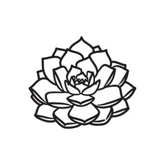 a black and white line drawing of a succulent or flowering plant with intricate, overlapping petals or leaves. The overall shape resembles a rosette or spiral pattern, creating a visually striking