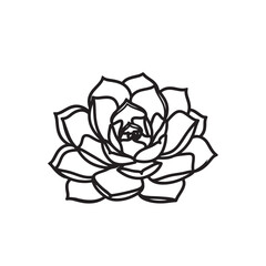 a black and white line drawing of a succulent or flowering plant with intricate, overlapping petals or leaves. The overall shape resembles a rosette or spiral pattern, creating a visually striking