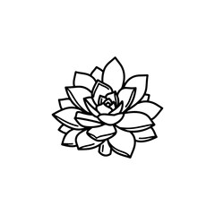 black and white line drawing of a succulent or flowering plant with intricate, overlapping petals or leaves. The overall shape resembles a rosette or spiral pattern, creating a visually striking and g