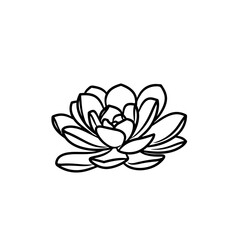 a black and white line drawing of a succulent or flowering plant with intricate, overlapping petals or leaves. The overall shape resembles a rosette or spiral pattern, creating a visually striking