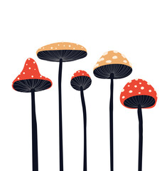 Vector card with stylized fly agarics on white background. Drawn magic amanita mushrooms in naive style