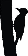 Woodpecker Silhouette on Tree Trunk Wildlife Bird Black Shape Isolated on White Background
