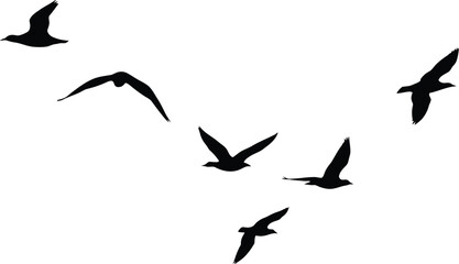 Silhouette of a Flock of Birds Flying in Formation Against a White Background