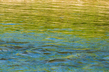 夏の川　川の流れ水面の表情10