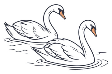 Elegant Swans Gracefully Gliding on Water A Serene Aquatic Scene of Beauty and Tranquility