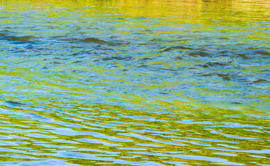夏の川　川の流れ水面の表情14