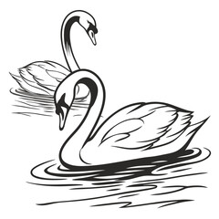 Elegant Swan Duo Swimming Harmoniously in Serene Waters, Black and White Sketch