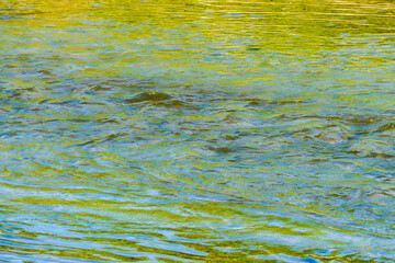 夏の川　川の流れ水面の表情27