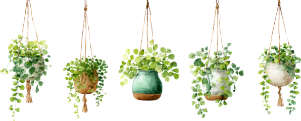 Serene watercolor set of hanging houseplant in macrame pot