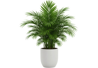 Fototapeta premium Lush green potted palm plant in a modern indoor setting, enhancing the ambiance